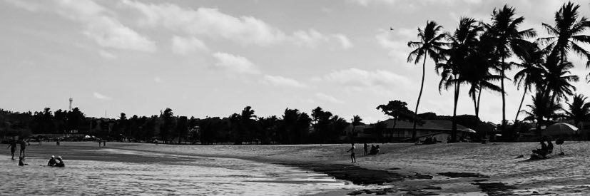 _guimafernanda_'s profile banner image
