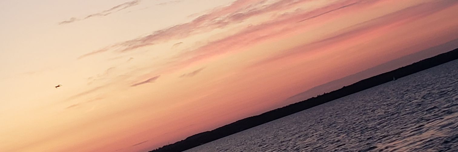 Traytastic's profile banner image