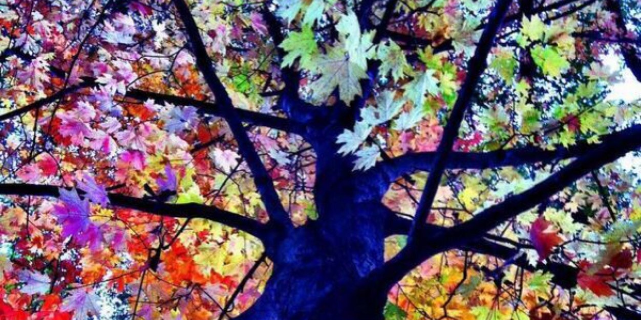 culha_aysun's profile banner image