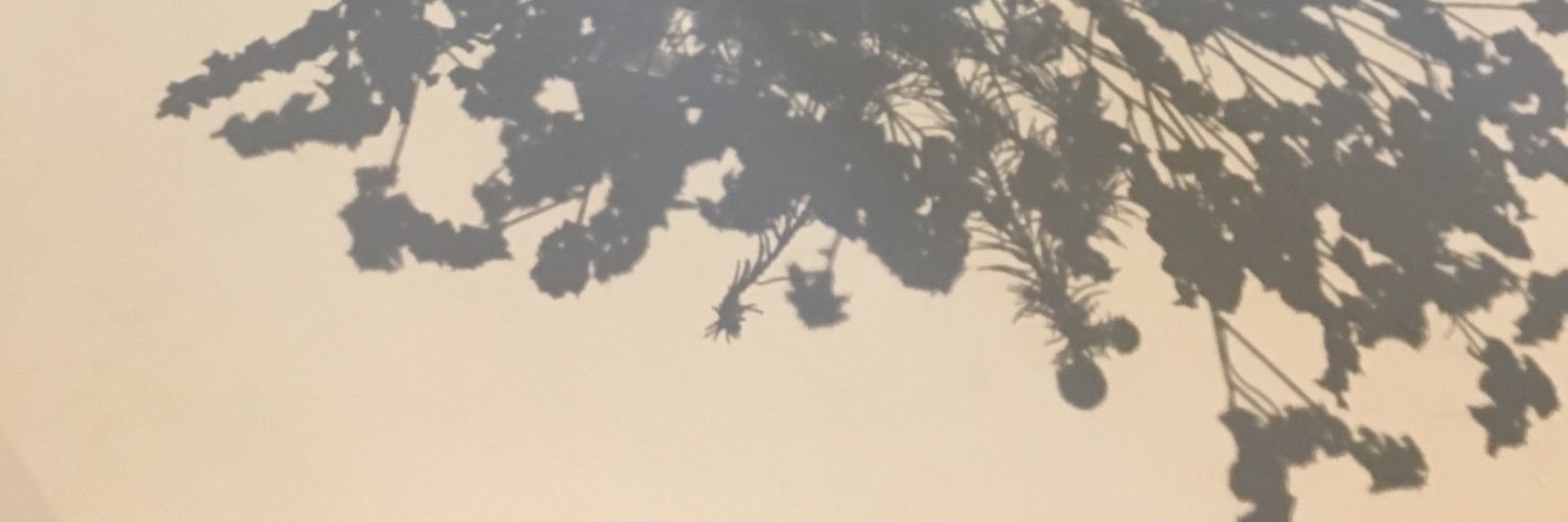 yo__gul's profile banner image