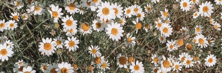 eleeena3's profile banner image