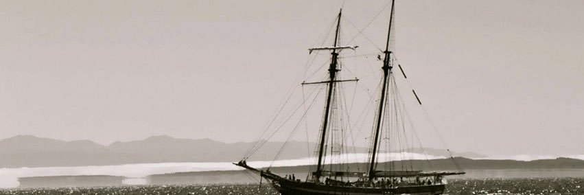 GuilleMorato's profile banner image