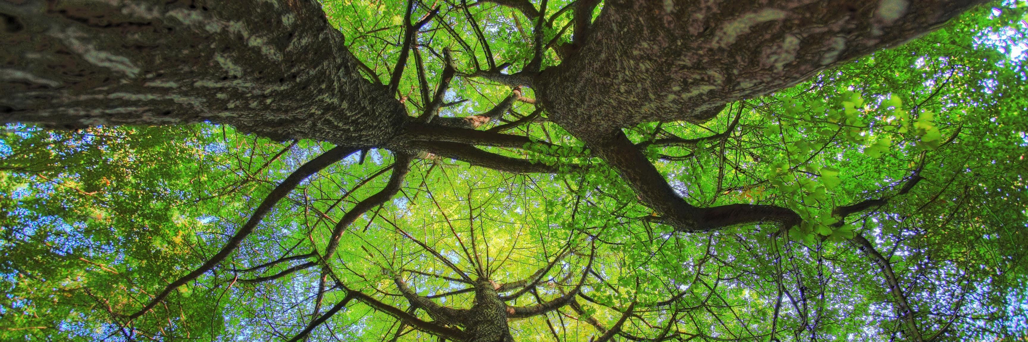 danielajsalas's profile banner image