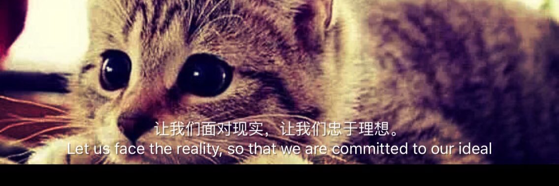 xiaohanwang4's profile banner image