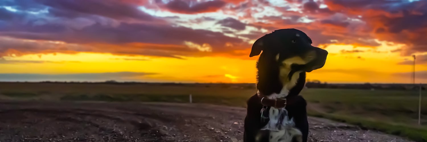 shortneybrem's profile banner image