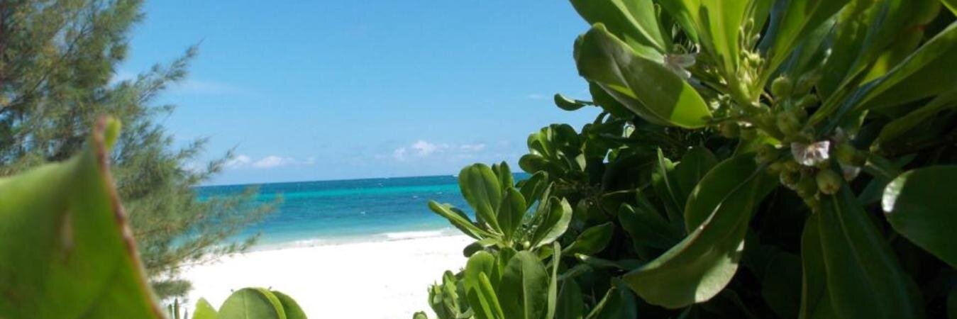 filippo_burello's profile banner image