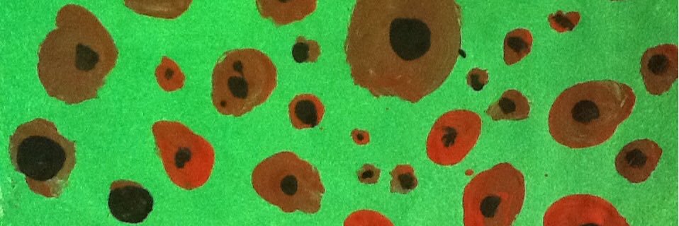 StAidansRecpt's profile banner image