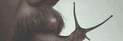 alfervi's profile banner image