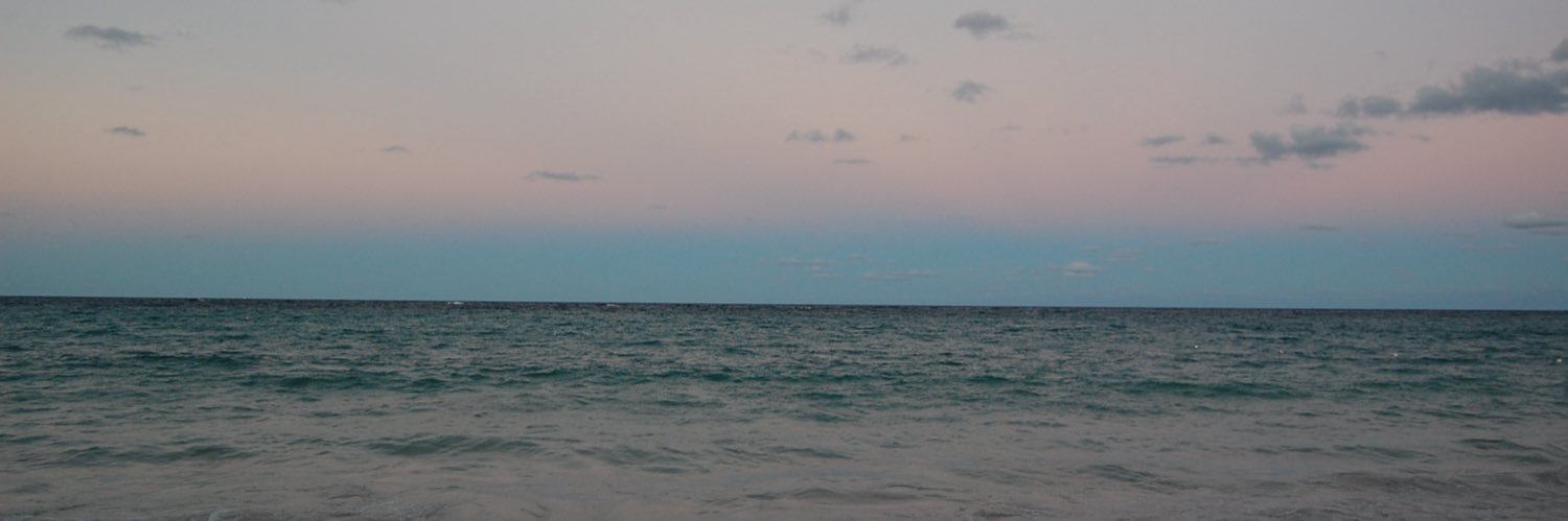 dany ☻ banner