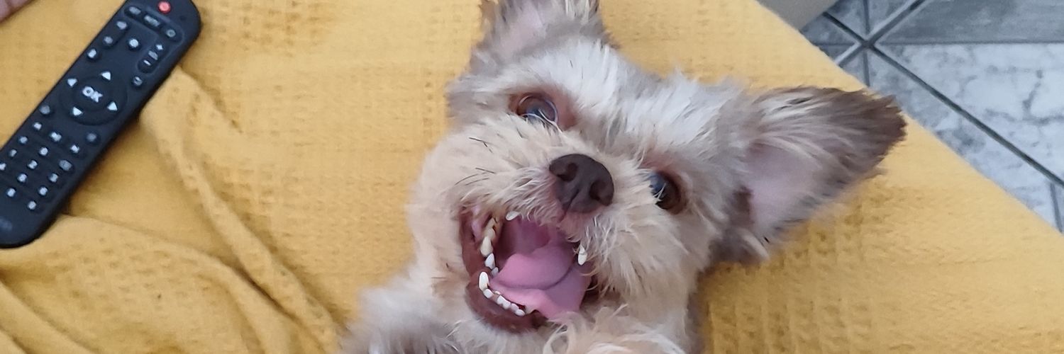 larahcr0ft's profile banner image