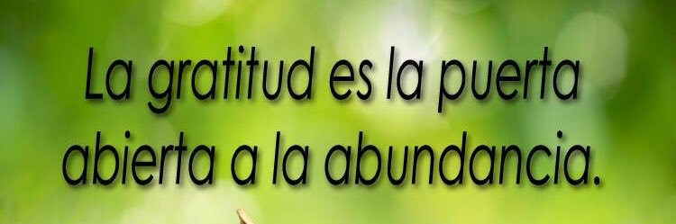 paulaandreavele's profile banner image