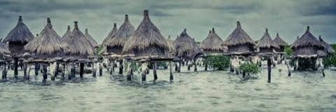 Simon Francois Diouf banner