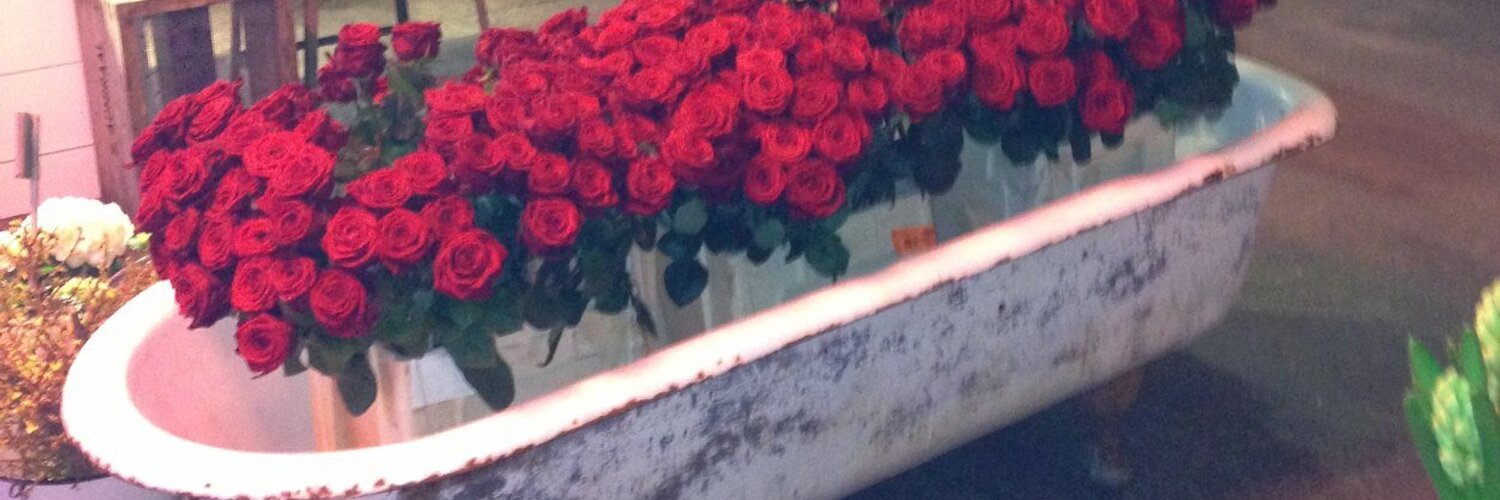 Rachel Ní Channan (rach_gnome) Twitter