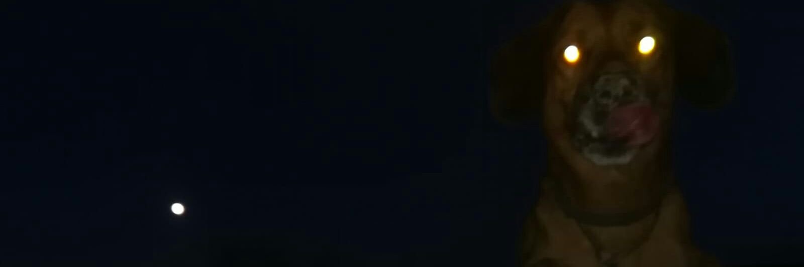 Maite10_S's profile banner image
