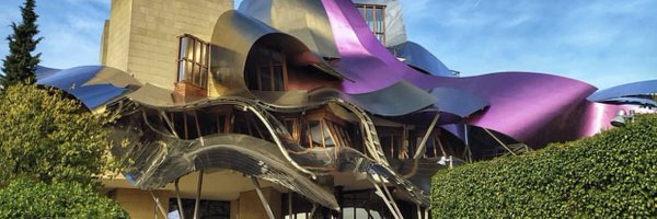 Nelsonali Profile Banner