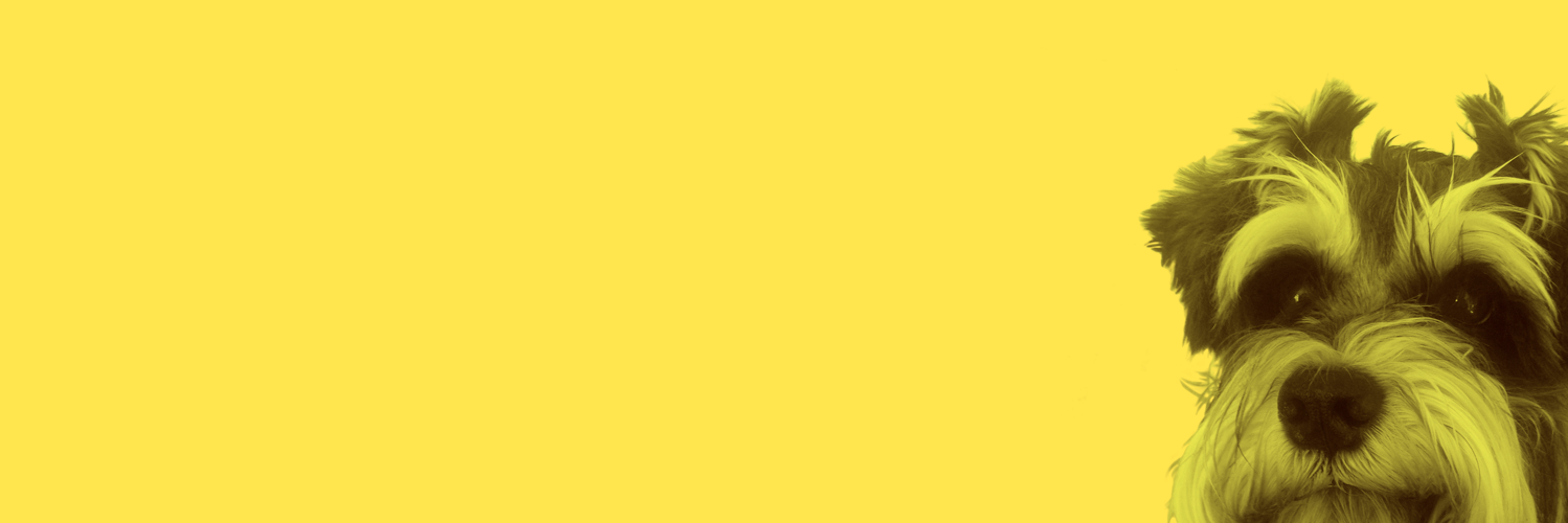 BrandStrutt's profile banner image