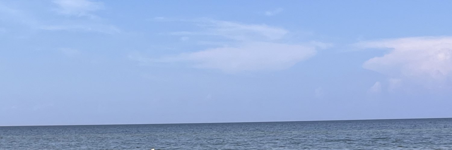 EdithCecchini's profile banner image