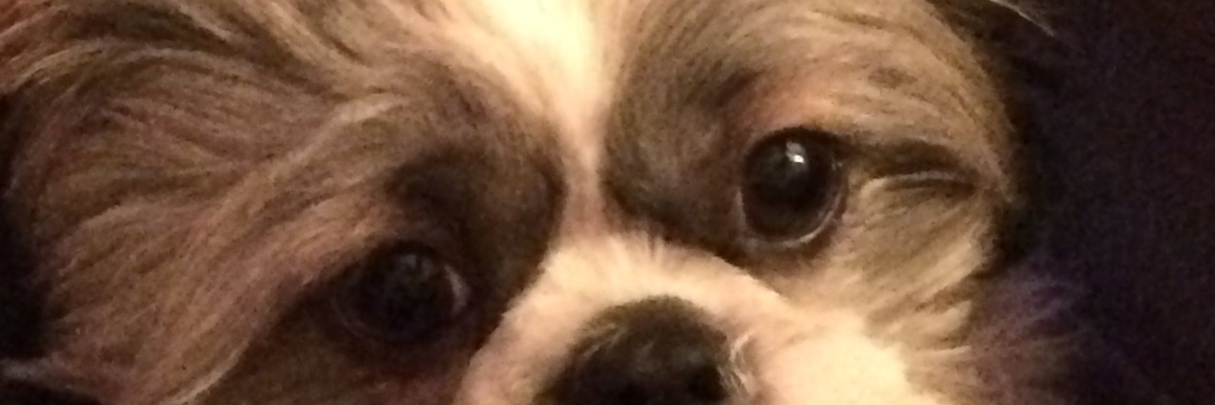 ANAOI64's profile banner image