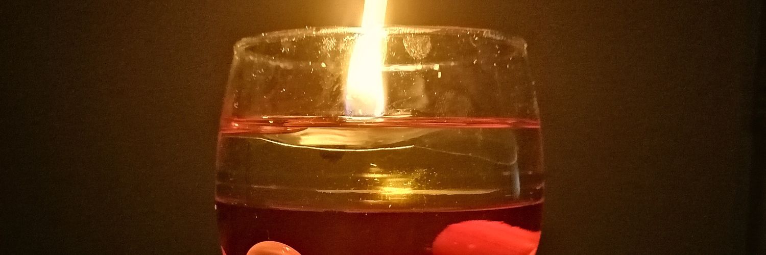 DIANAP1079's profile banner image