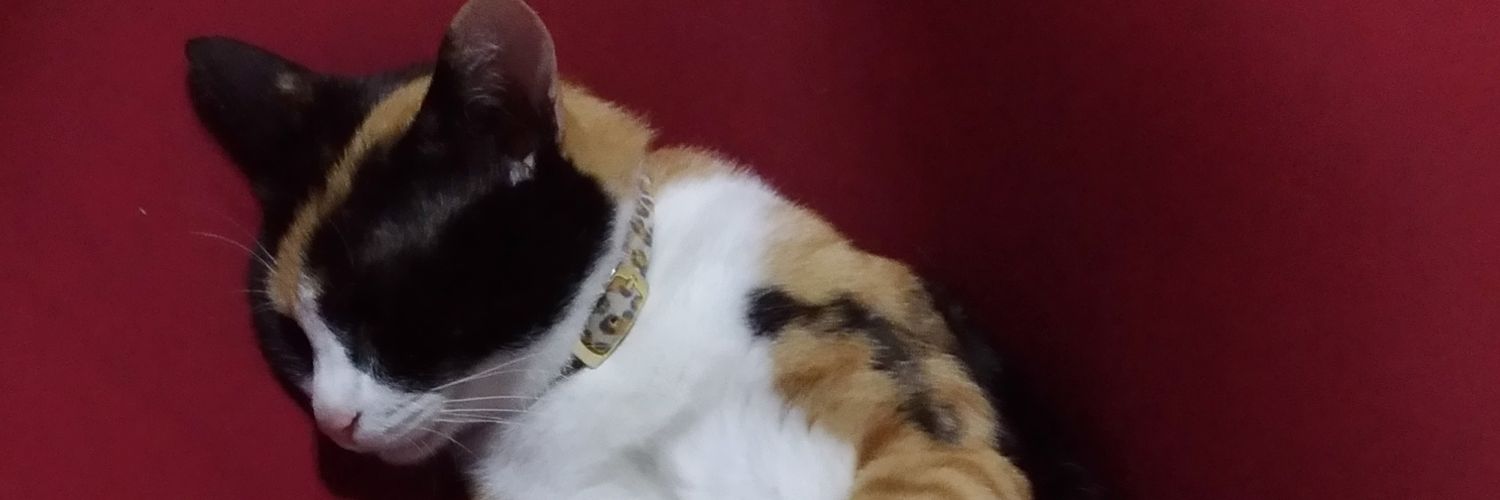 LikkaOYKT's profile banner image