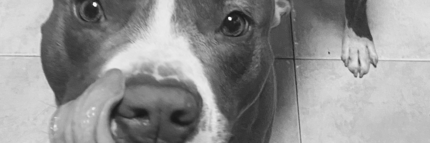 paulamendza's profile banner image