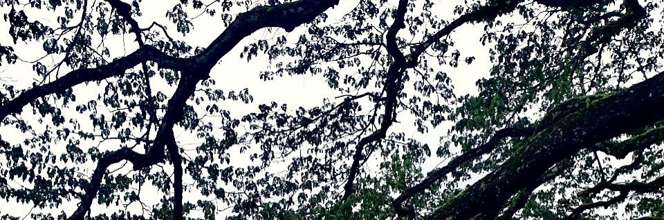 iamrahmat_'s profile banner image
