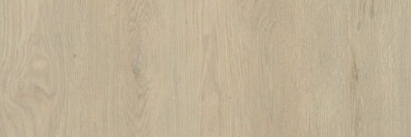 Aaylaa Profile Banner