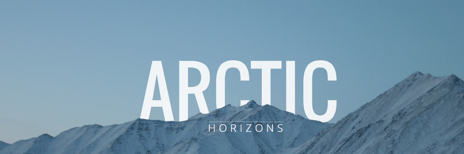 ArcticHz's profile banner image