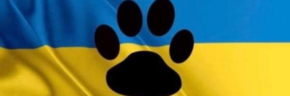 Mory101's profile banner image