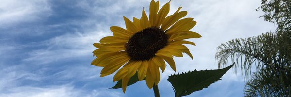 HungerNoMore Profile Banner