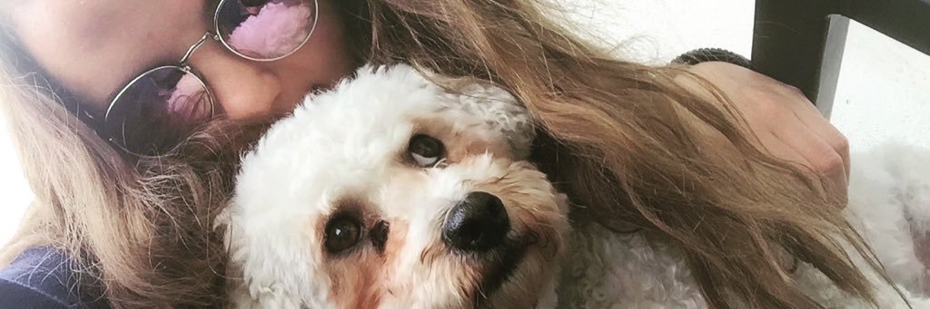 torieadams's profile banner image