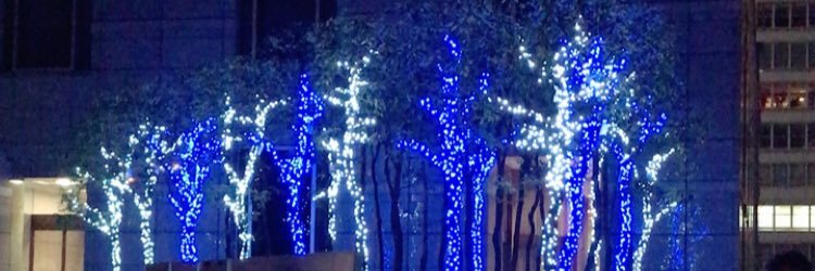 anchobicoro's profile banner image