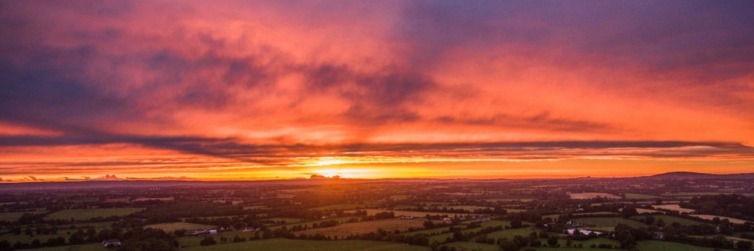 Claire Whelan banner