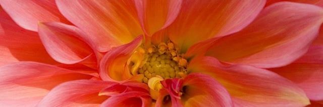 BarbaraGourley's profile banner image