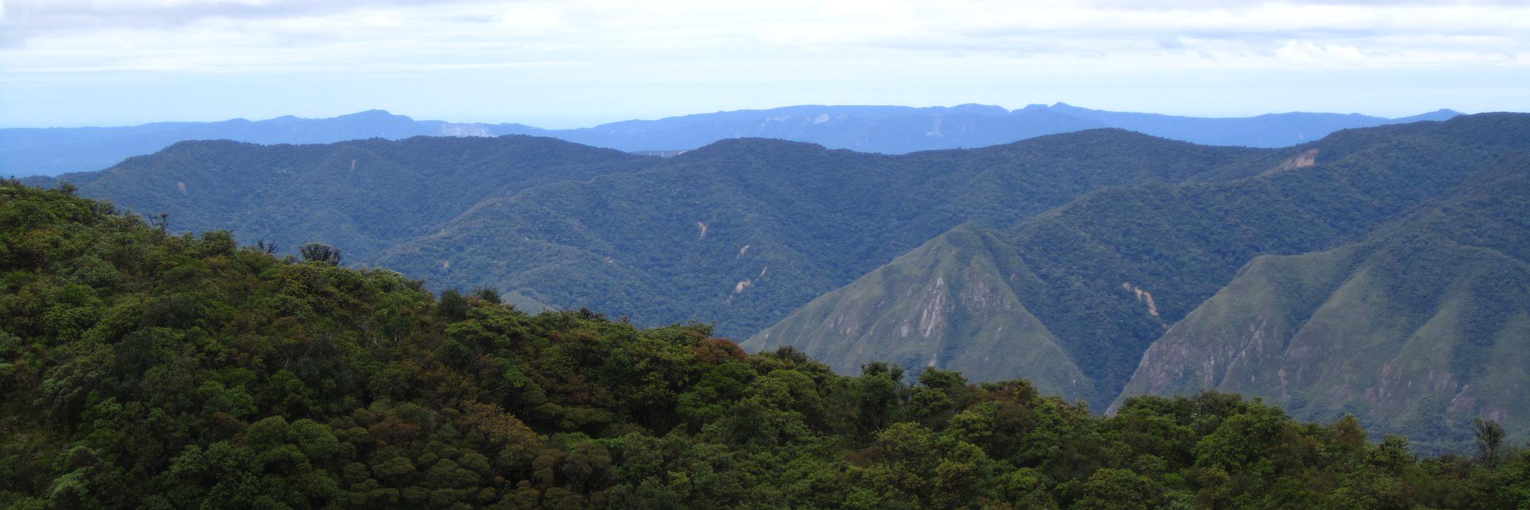 Marissa Boeck MD MPH FACS banner