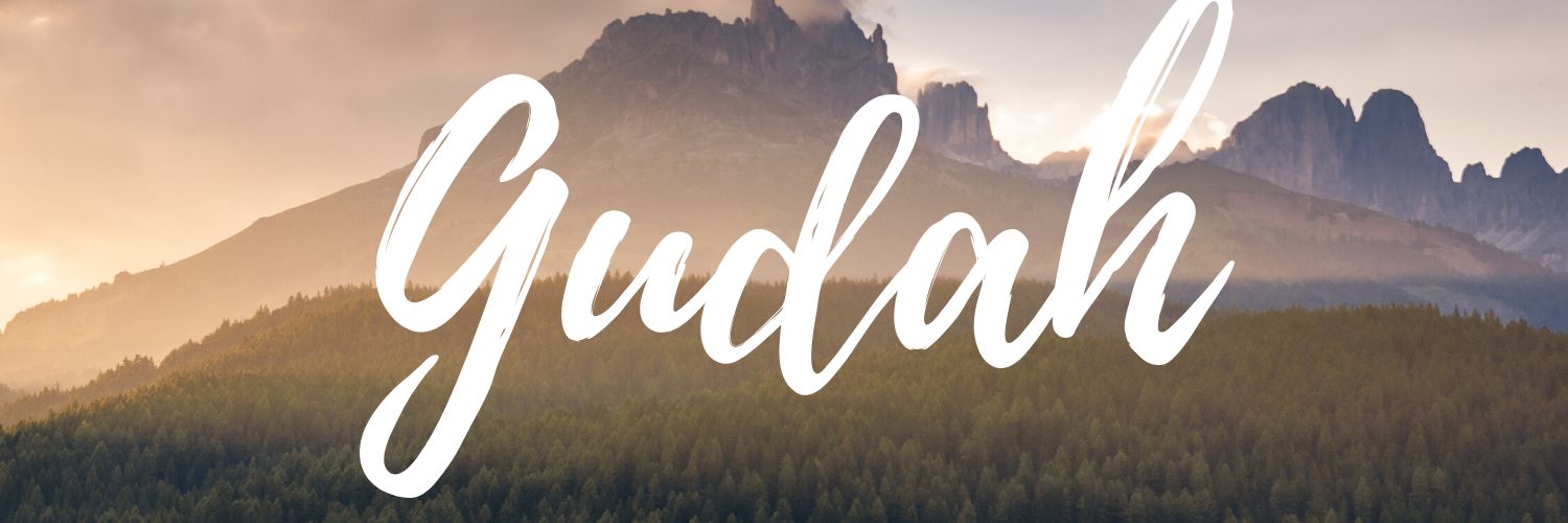 GarryGudah's profile banner image