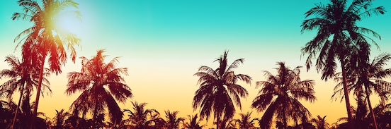 lily_pruneda's profile banner image