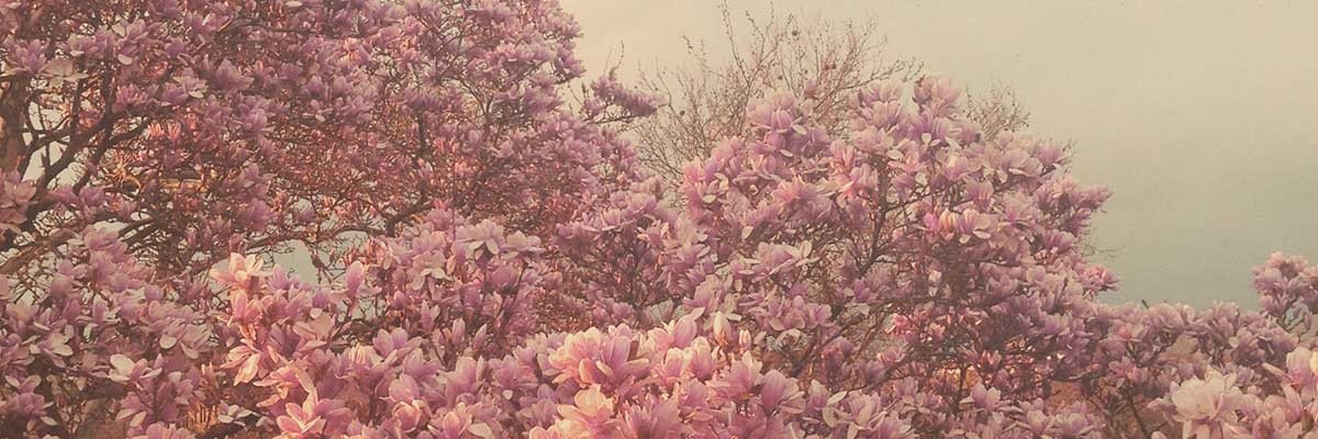 gemarmdn's profile banner image