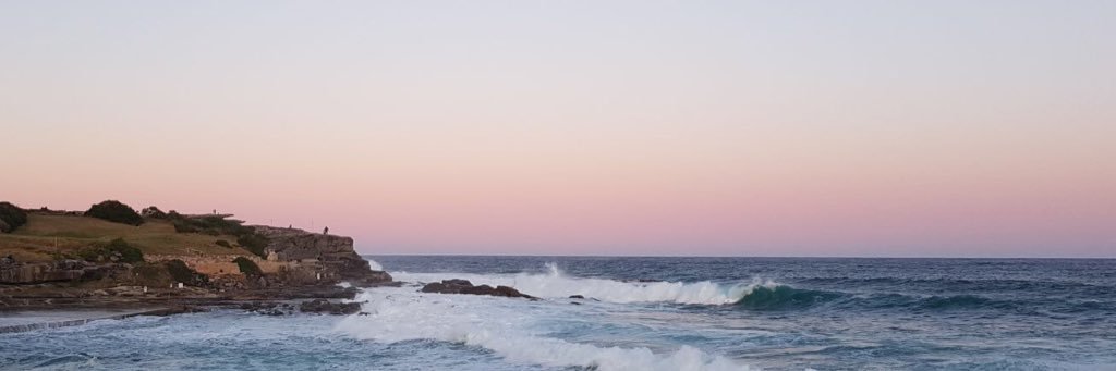 JulieCarbone's profile banner image