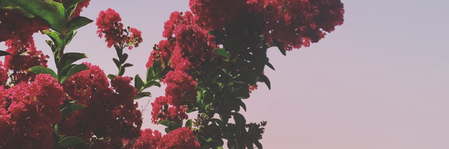 brookiedaigle's profile banner image