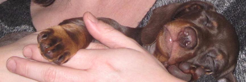 benedictabbott5's profile banner image