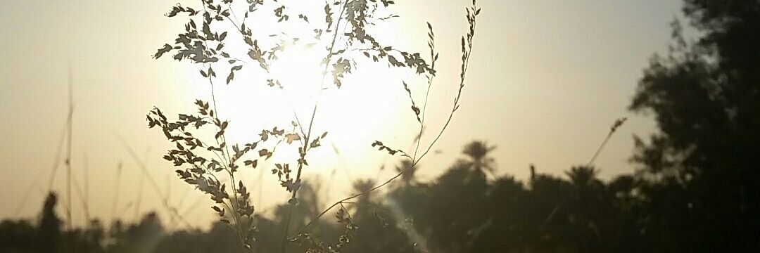 m7md_alkhaldi's profile banner image