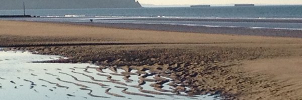 GaugainF Profile Banner