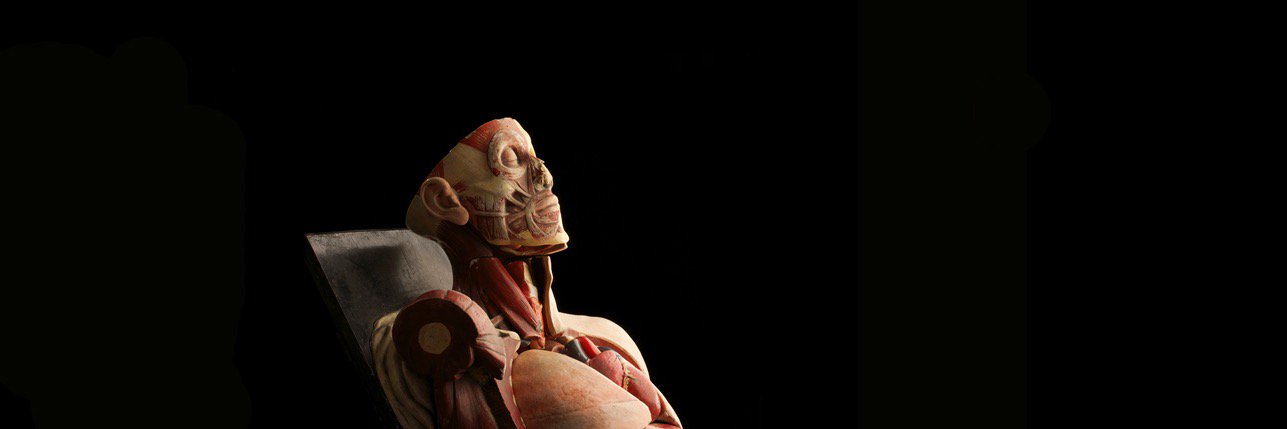 Amanda Roberts banner