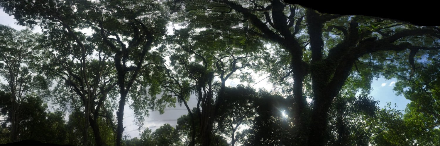 erick_rocabe's profile banner image