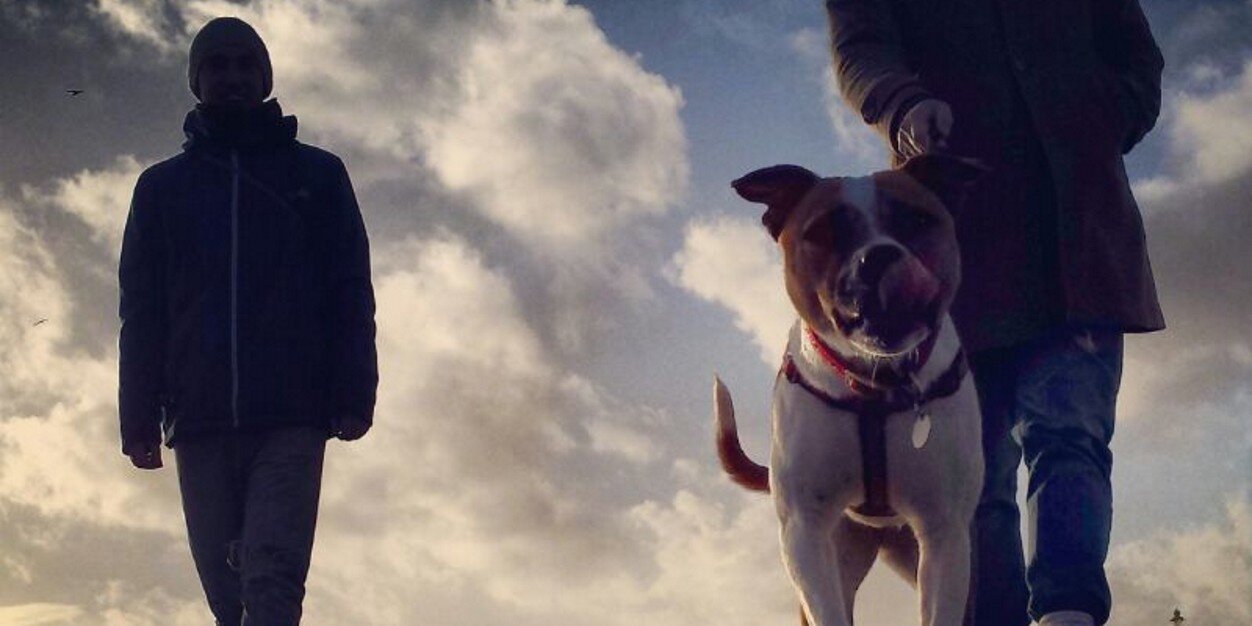heydiddledeedee's profile banner image