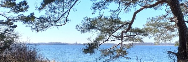 Chrirax Profile Banner