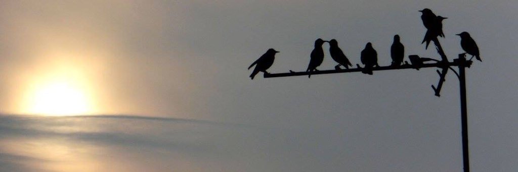 TheVixC's profile banner image