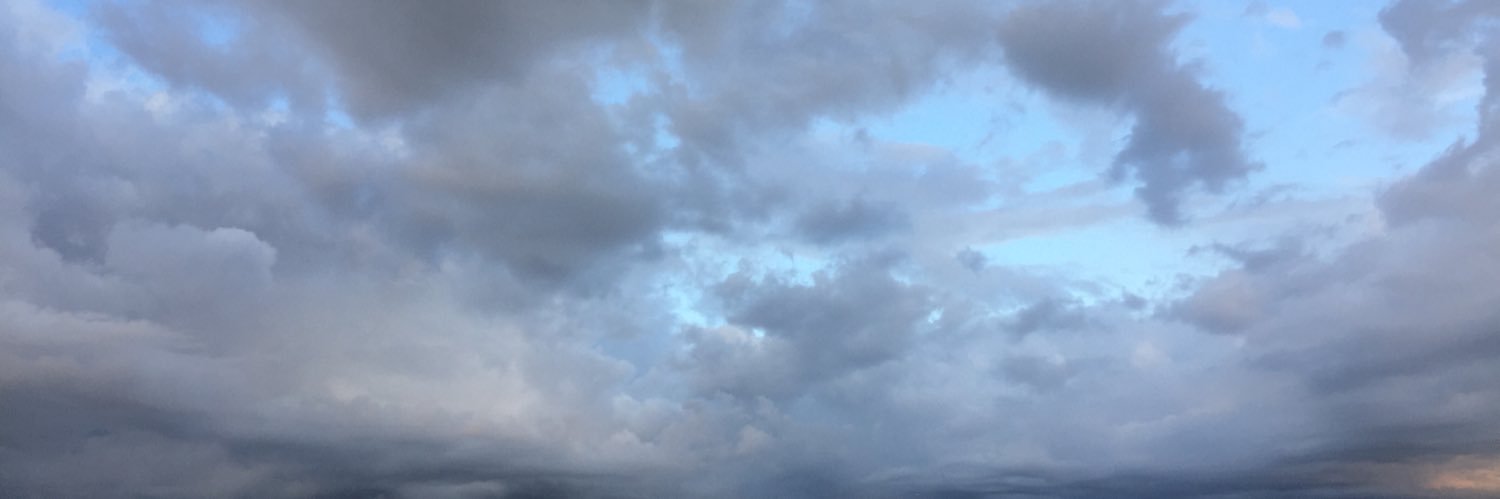 La_perchy's profile banner image