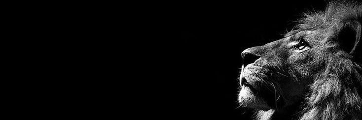 SaitTokp's profile banner image
